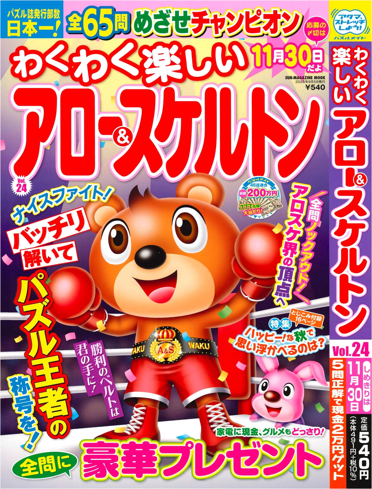Exciting Arrow & Skeleton Puzzles 24 (SUN-MAGAZINE MOOK)
