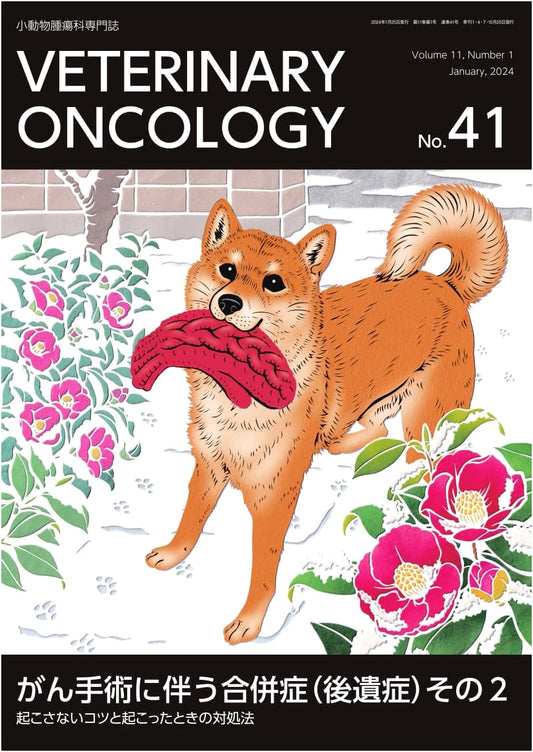 VETERINARY ONCOLOGY No.41 (Jan 2024): Cancer Surgery Complications Part 2: Prevention & Management