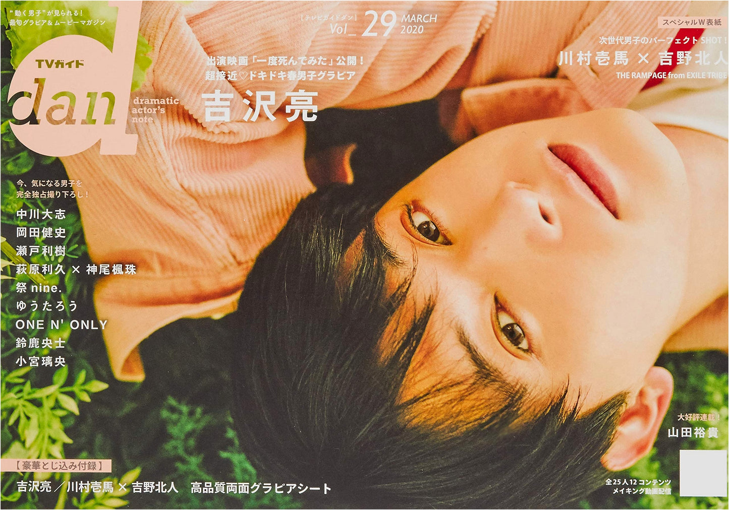 TV Guide dan Vol. 29 (Tokyo News Mook No. 852)