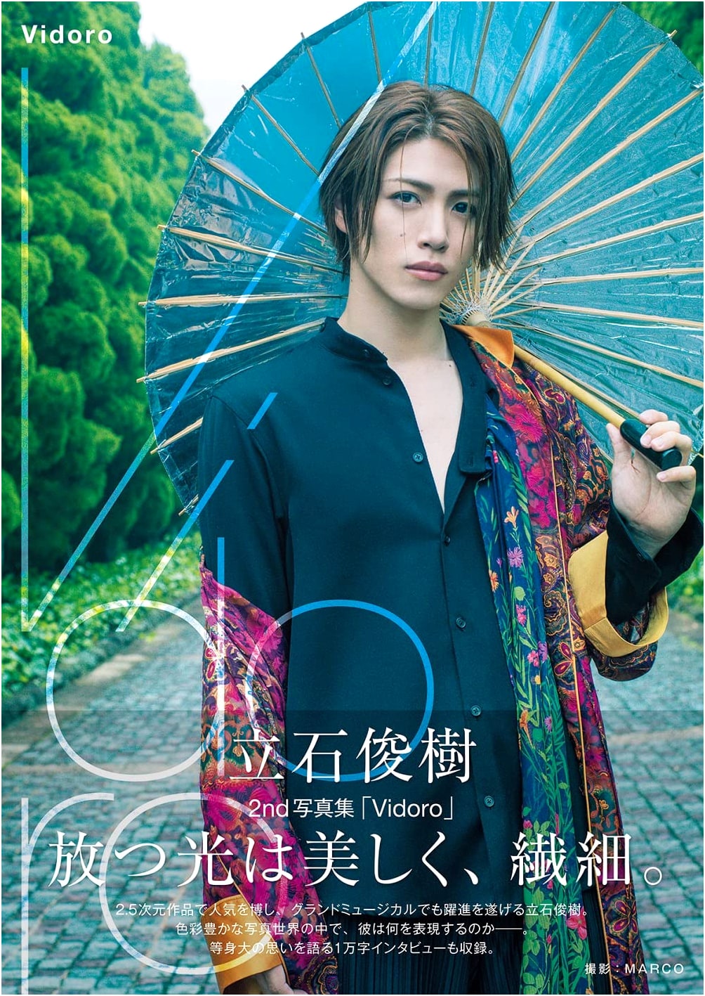 Toshiki Tateishi's 2nd Photo Book: Vidoro