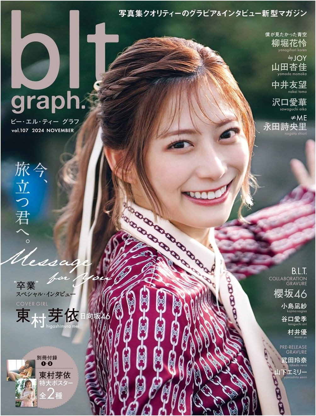 blt graph. Vol. 107 (B.L.T. Mook)