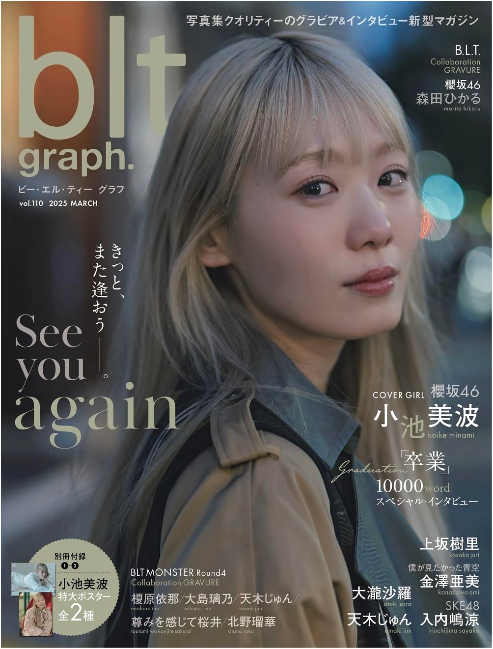 BLT Graph Vol. 110 (B.L.T. MOOK Series)