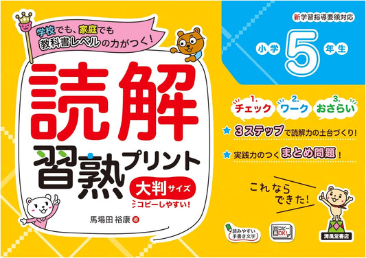 Mastering Reading Comprehension: Japanese 5th Grade Large Format Worksheets