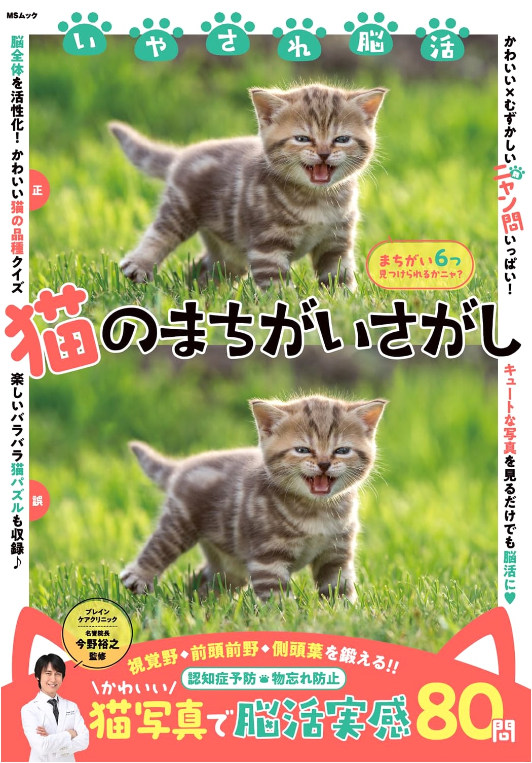 Soothing Brain Training: Cat Spot the Difference Puzzle Book