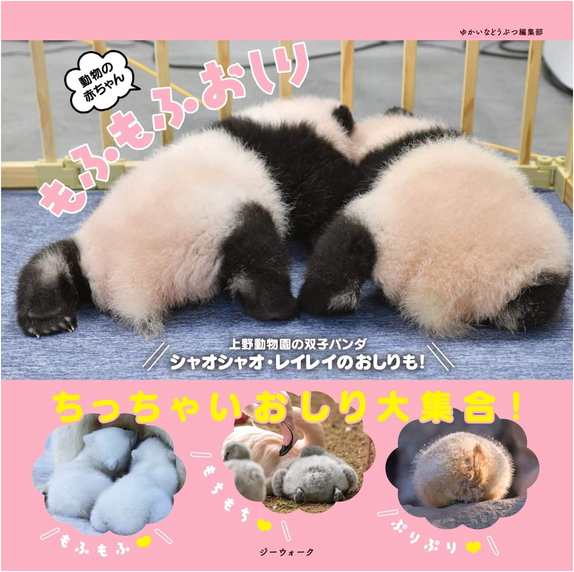 Fluffy Baby Animal Bottoms: An Adorable Photo Collection