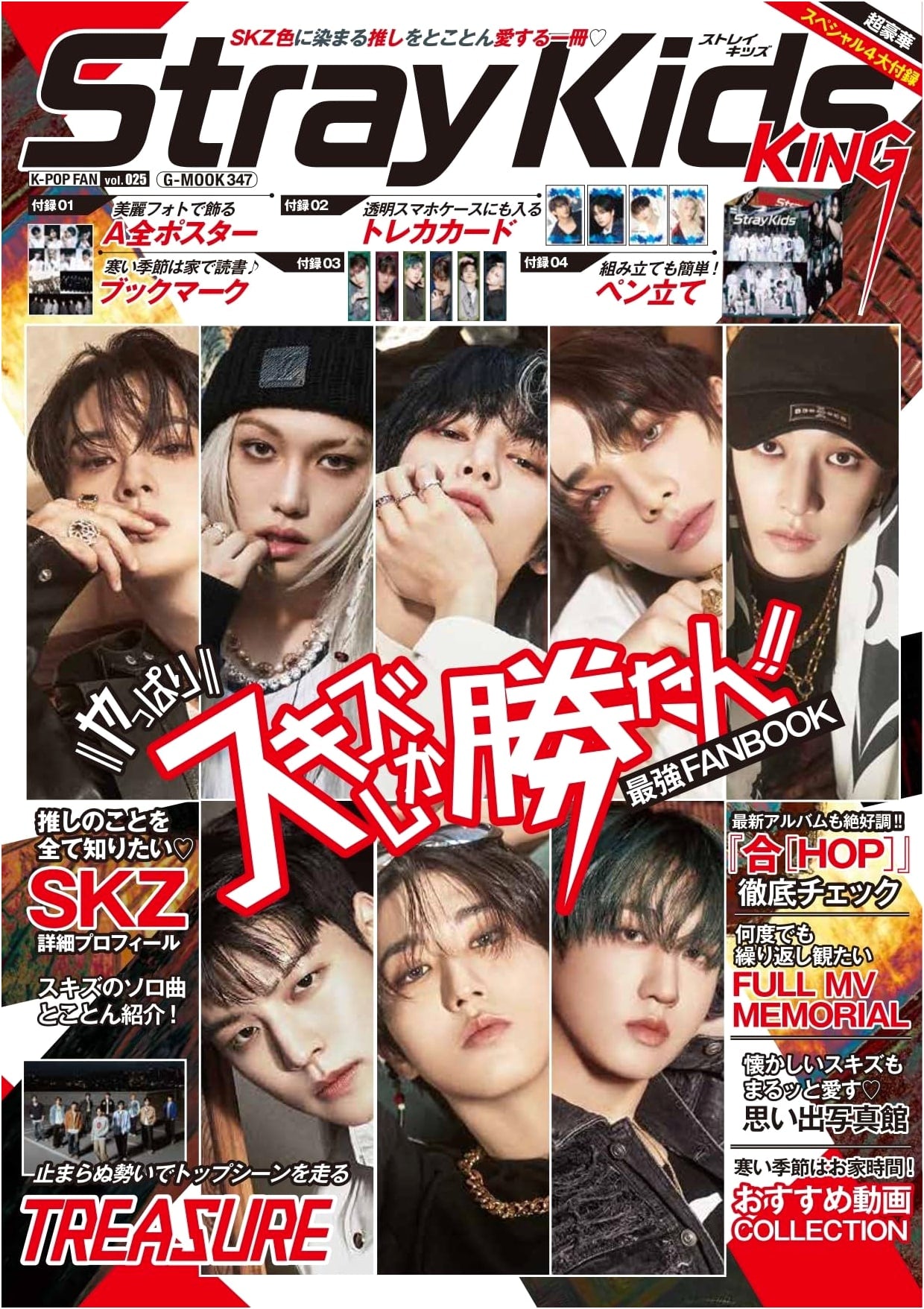 K-POP FAN Vol. 25 (G-MOOK): Japan's Latest K-Pop Culture Magazine
