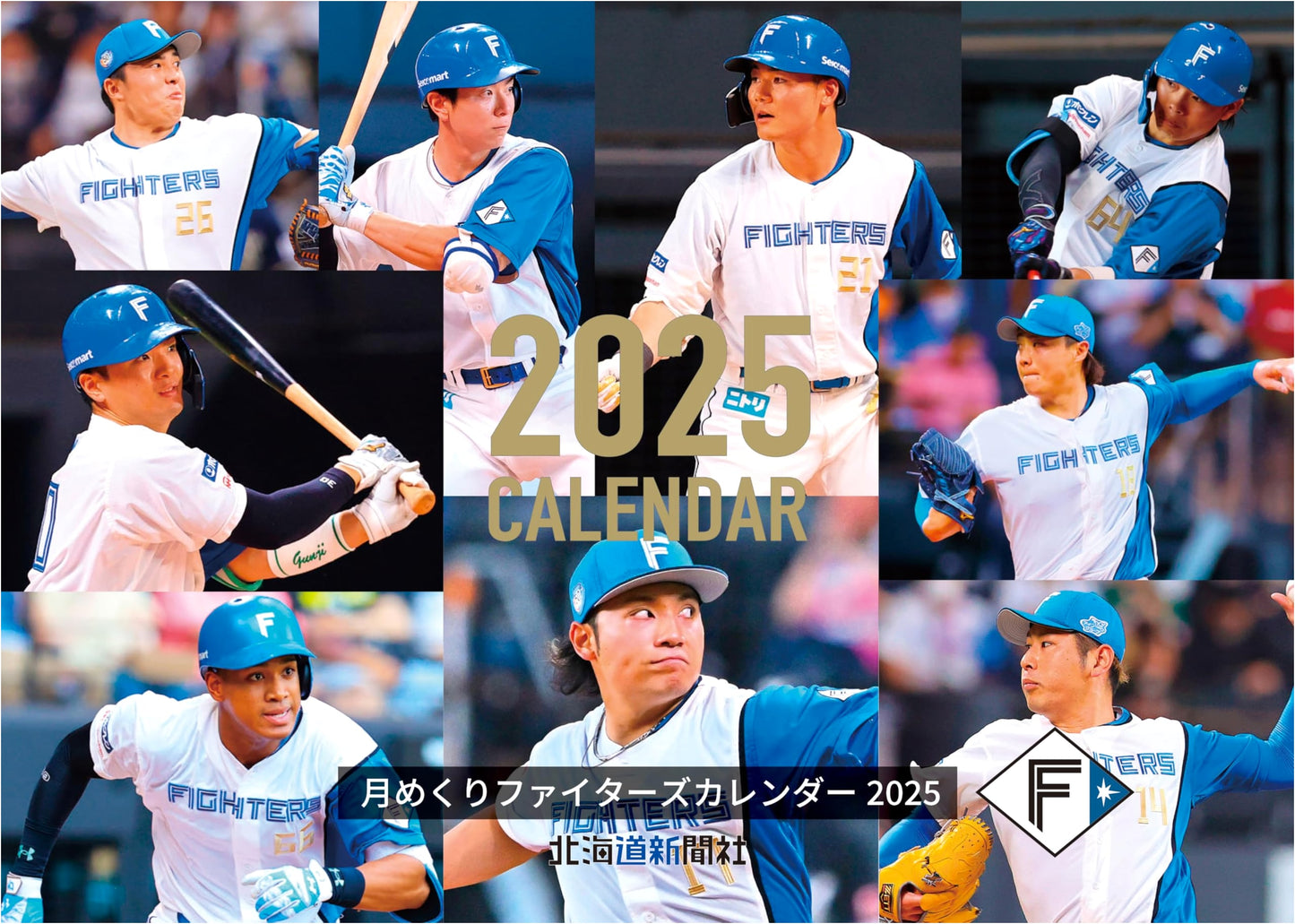 Hokkaido Nippon-Ham Fighters Monthly Calendar 2025