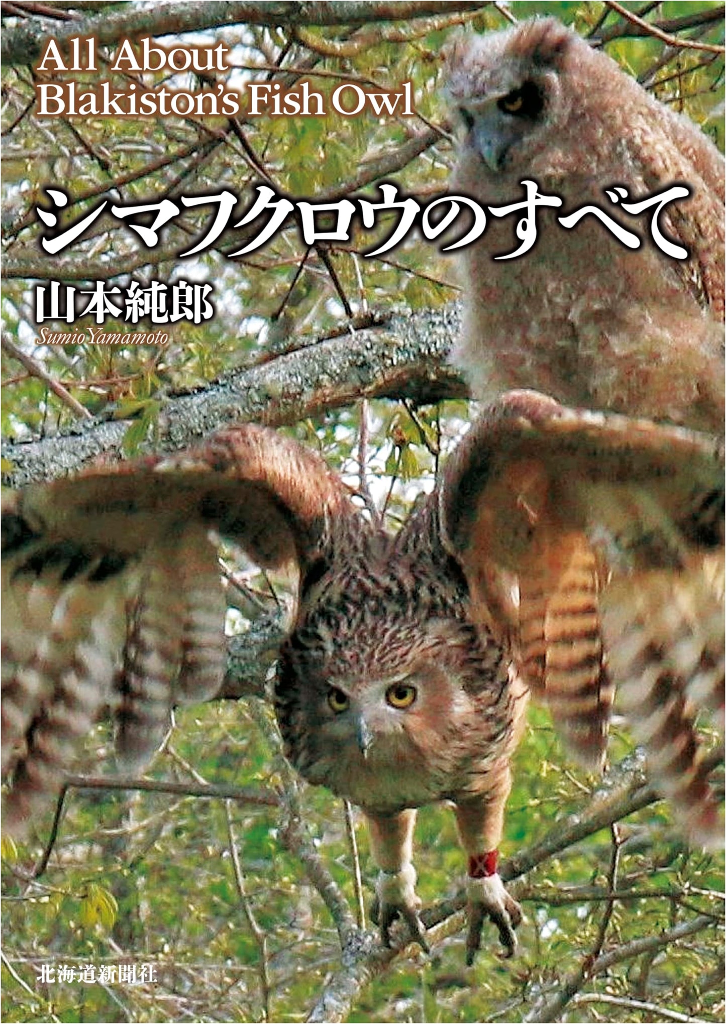 All About the Blakiston's Fish Owl