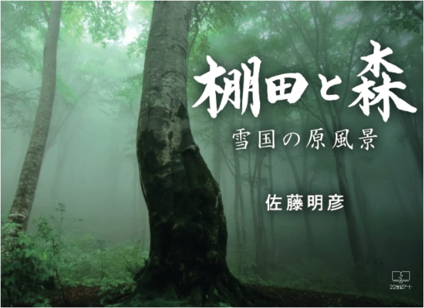 Terraced Rice Fields and Forests: Primordial Landscapes of the Snow Country