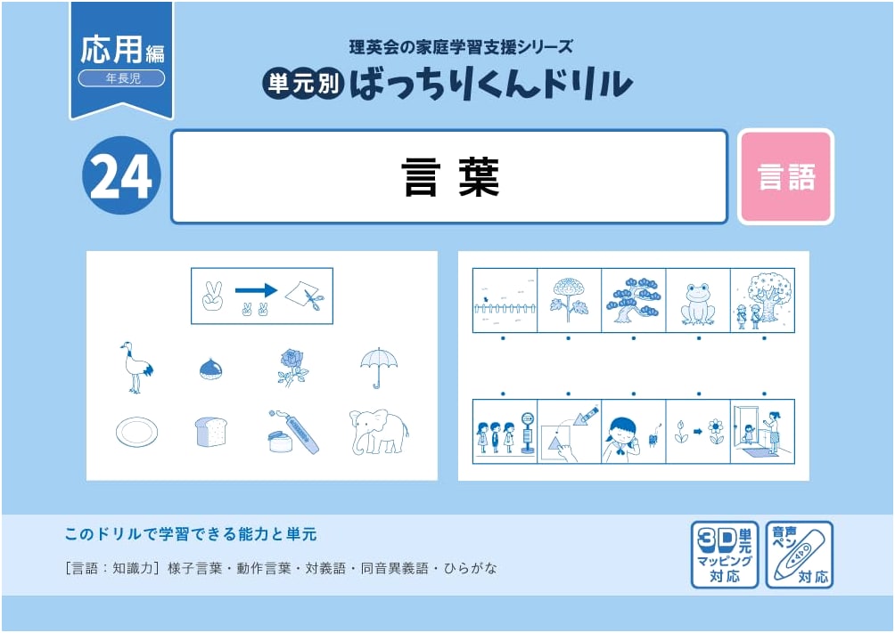 24 Units: Bachiri-kun Drill - Language (Advanced Edition)