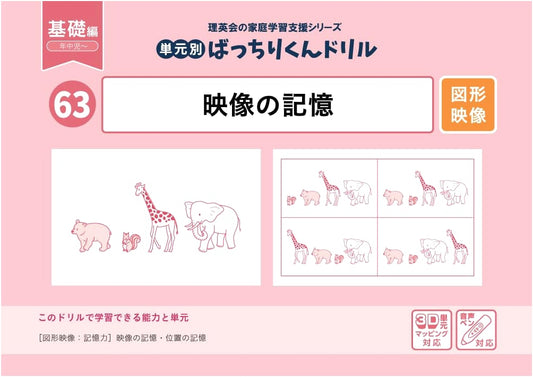 Batchiri-kun Drills: Visual Memory (Basic Edition) - Topic 63 Practice