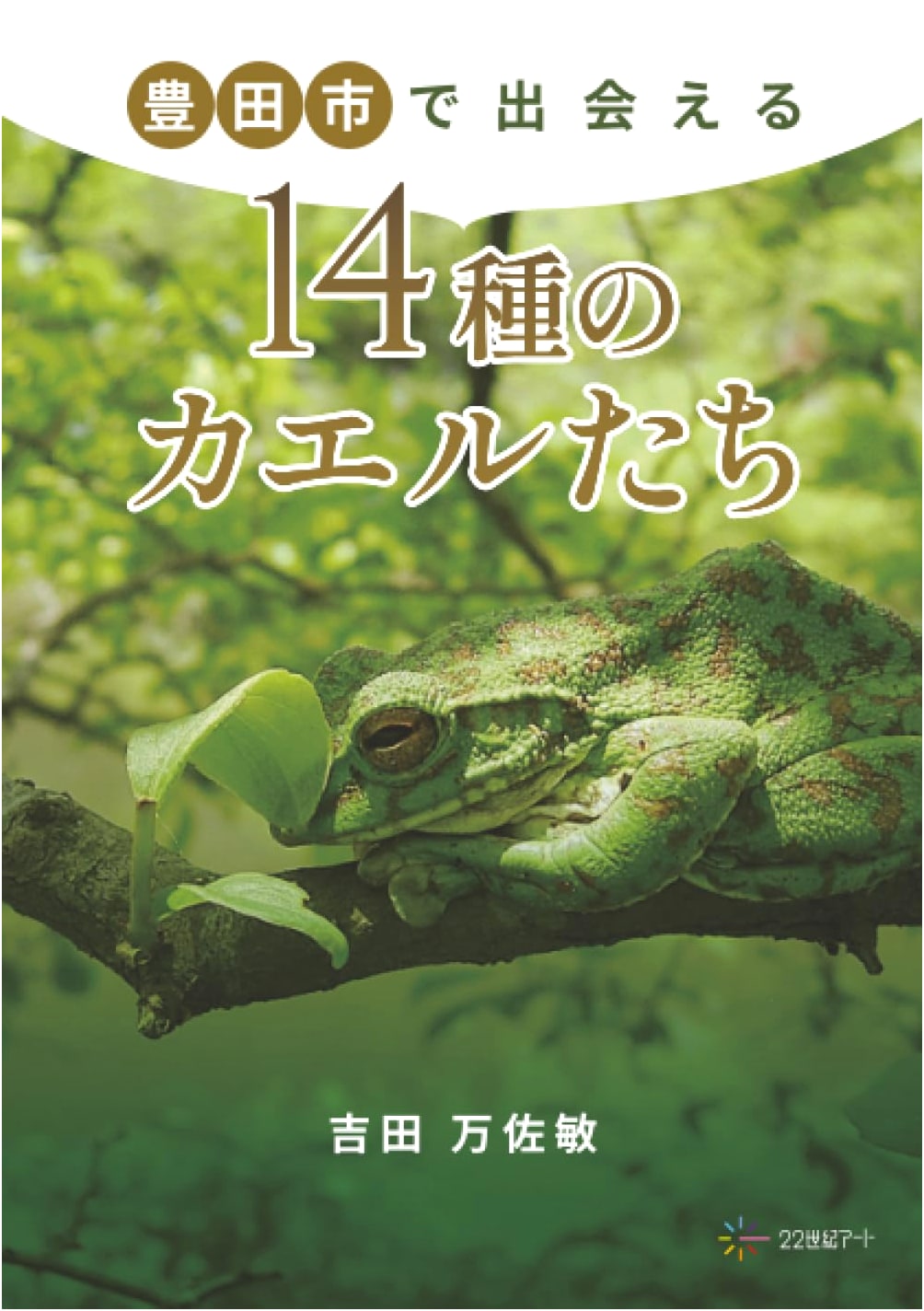 14 Species of Frogs You Can Meet in Toyota City