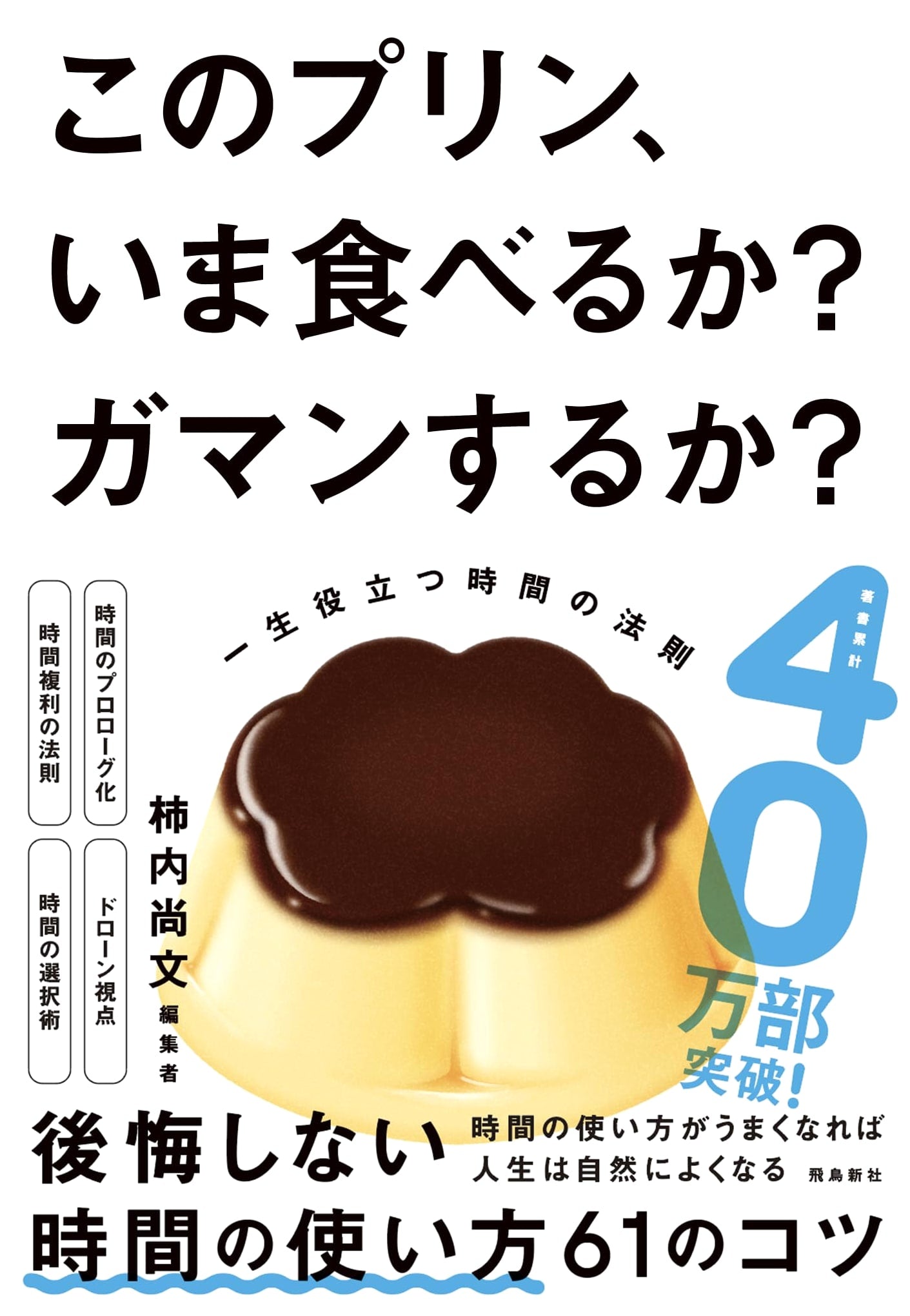 The Pudding Dilemma: Eat Now or Wait? Lifelong Laws of Time Management