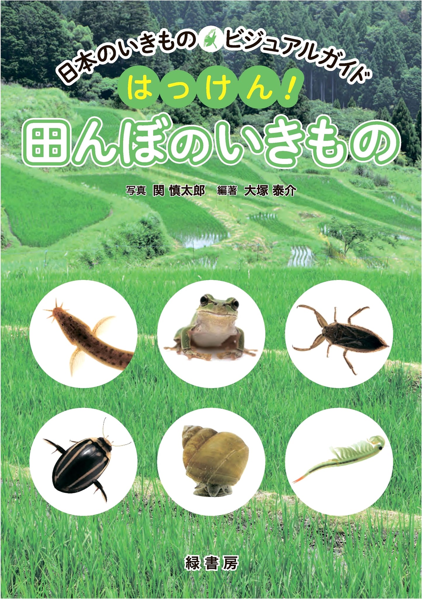 Japan's Wildlife Visual Guide: Discover! Creatures of the Rice Paddies