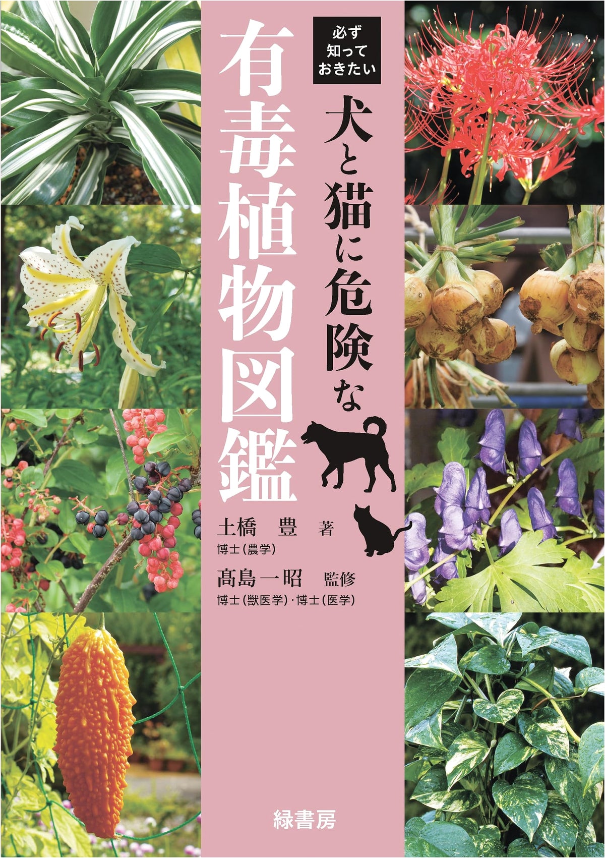 A Must-Know Illustrated Guide to Poisonous Plants Dangerous to Dogs and Cats