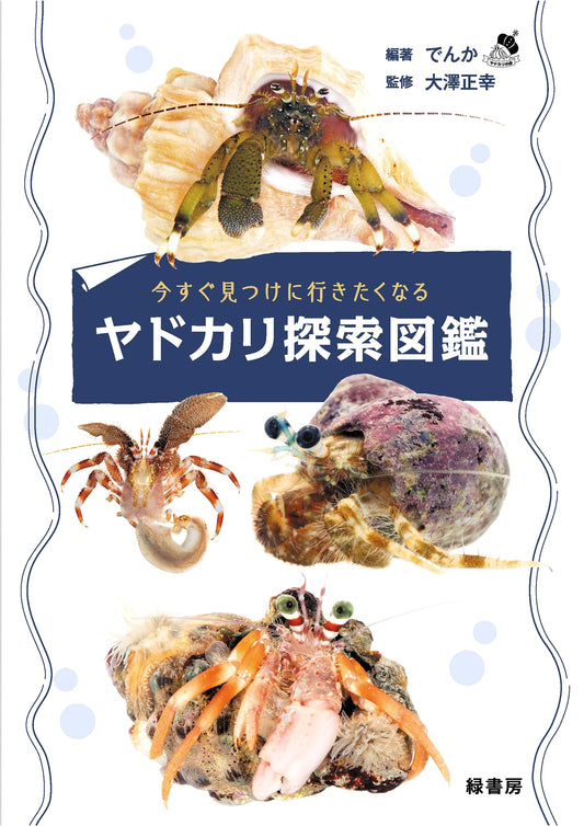 The Ultimate Hermit Crab Discovery Guide