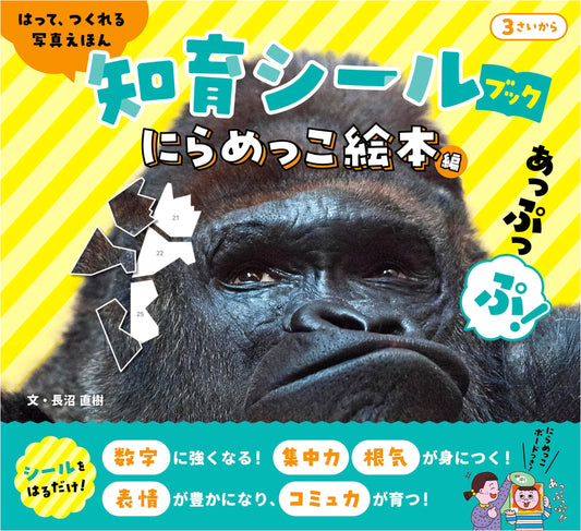 Look-Alike Picture Book: Educational Sticker Book - Photo Story Edition