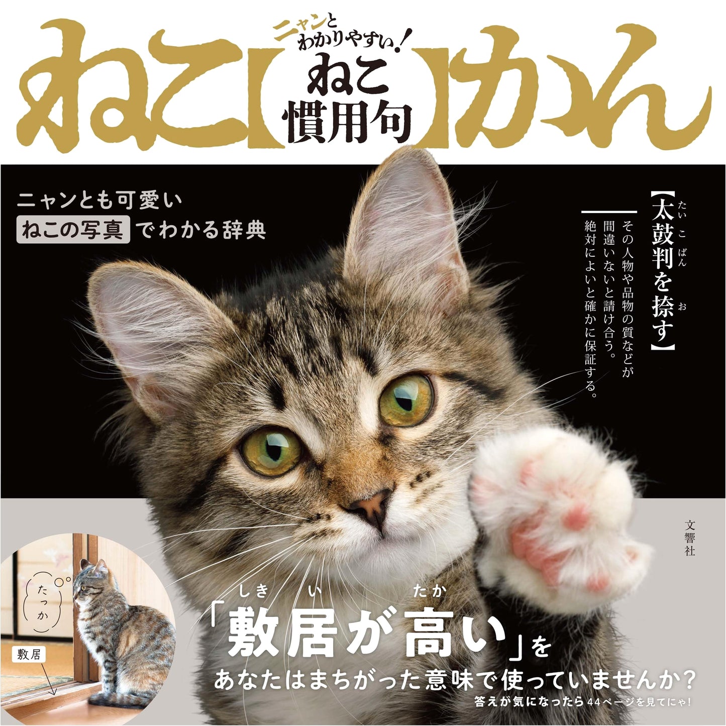 Paw-sitively Easy! Cat Idioms: Neko Kan