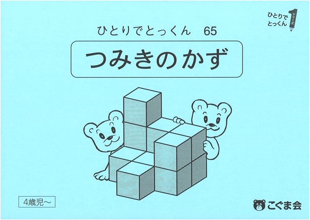 Independent Study Series 65: Counting Building Blocks