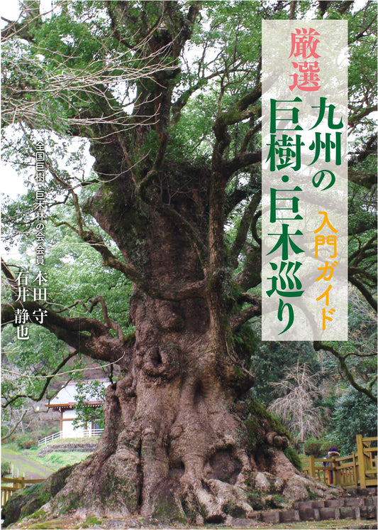 A Guide to Kyushu's Giant Trees: Selected Walks with Shizuya Ishii