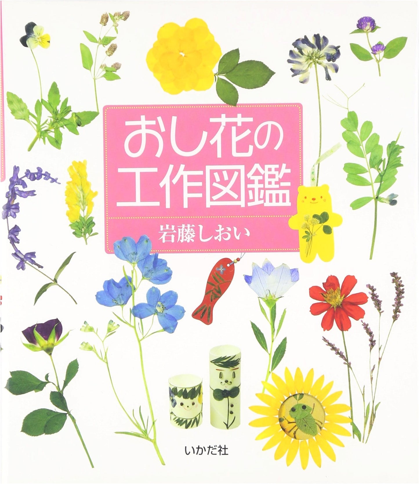 Pressed Flower Craft Guide: Create Art with Wild & Homegrown Flowers