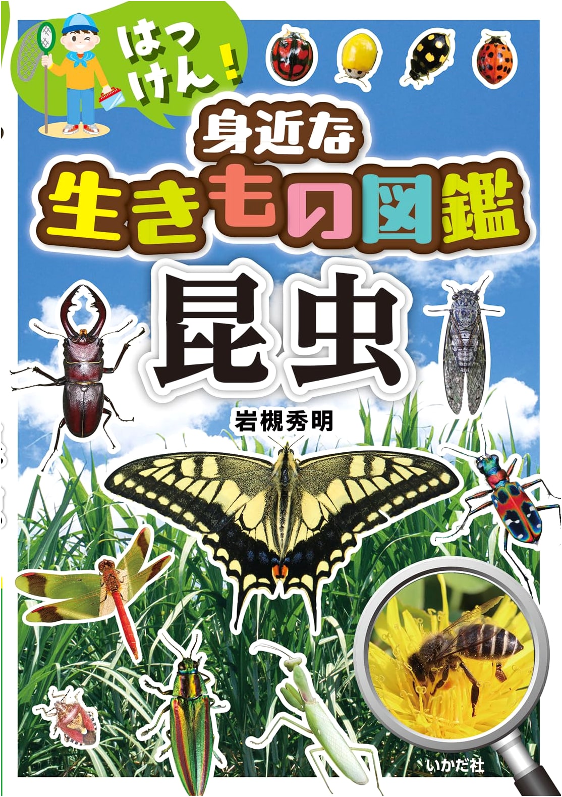 Discover! Encyclopedia of Familiar Insects: An Illustrated Guide