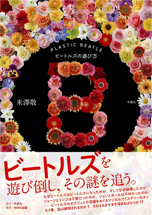 B PLASTIC BEATLE: How to Enjoy The Beatles