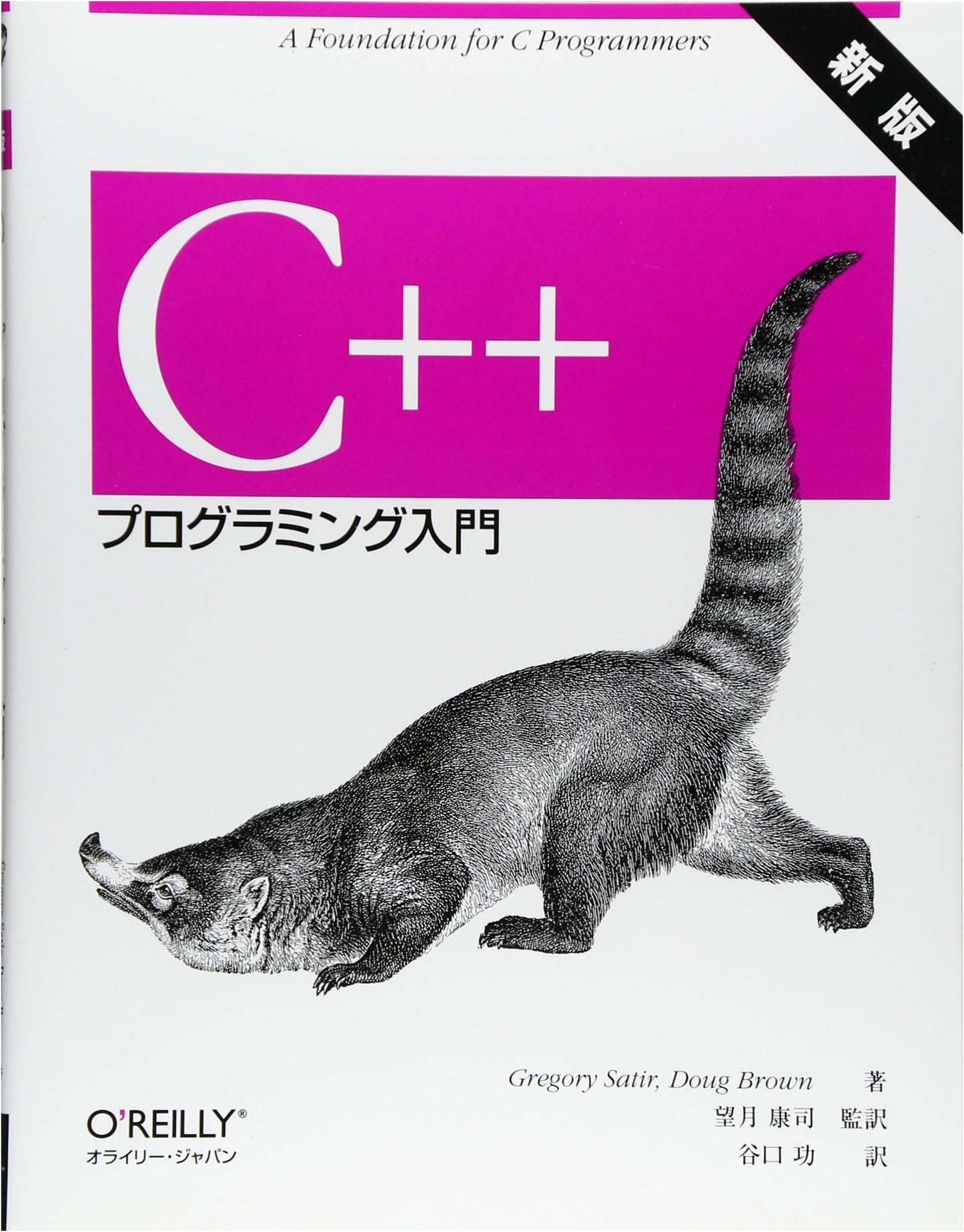 C++ Programming Introduction (O'Reilly Japan)