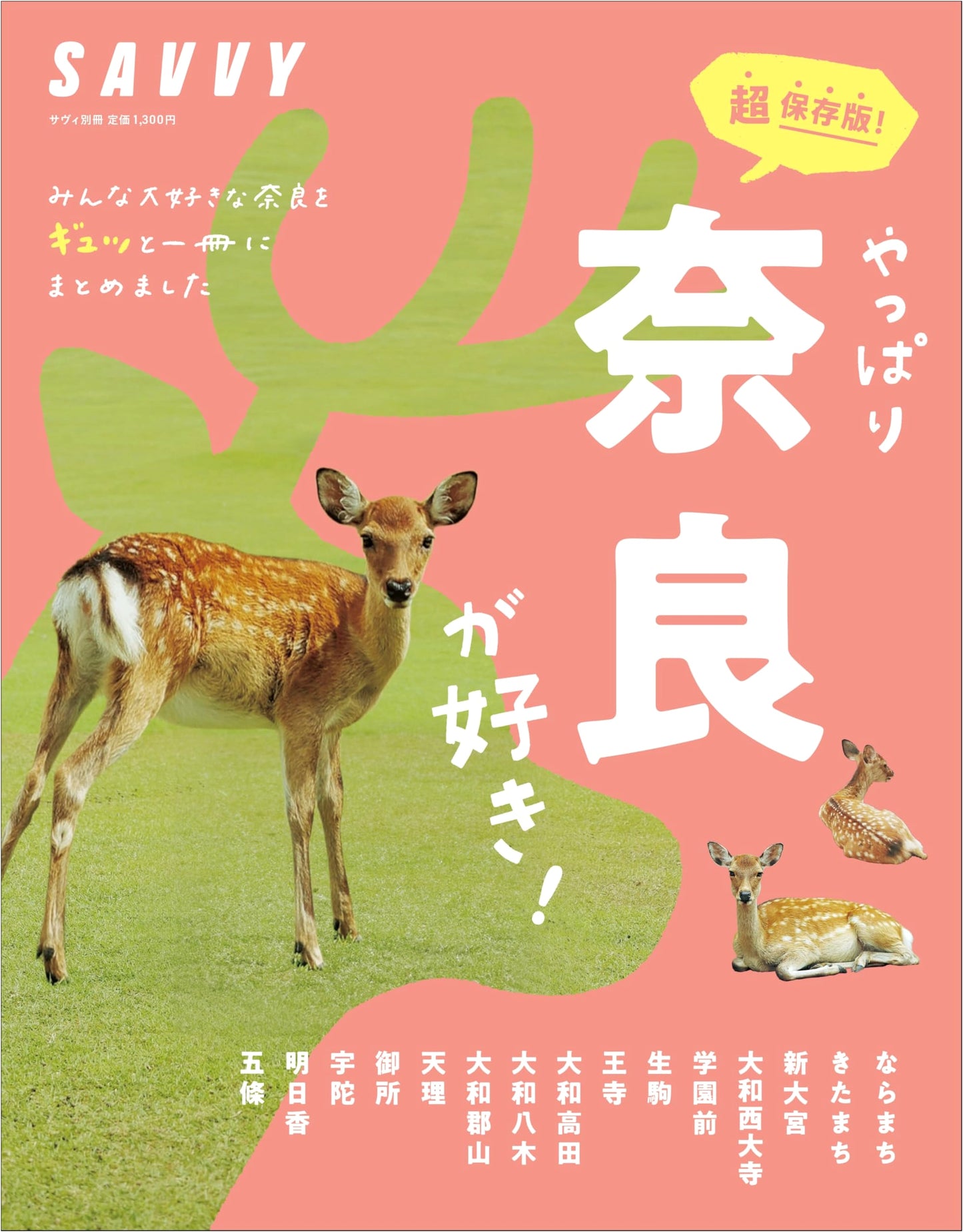 SAVVY Special: Nara, My Beloved! (LMAGA MOOK)