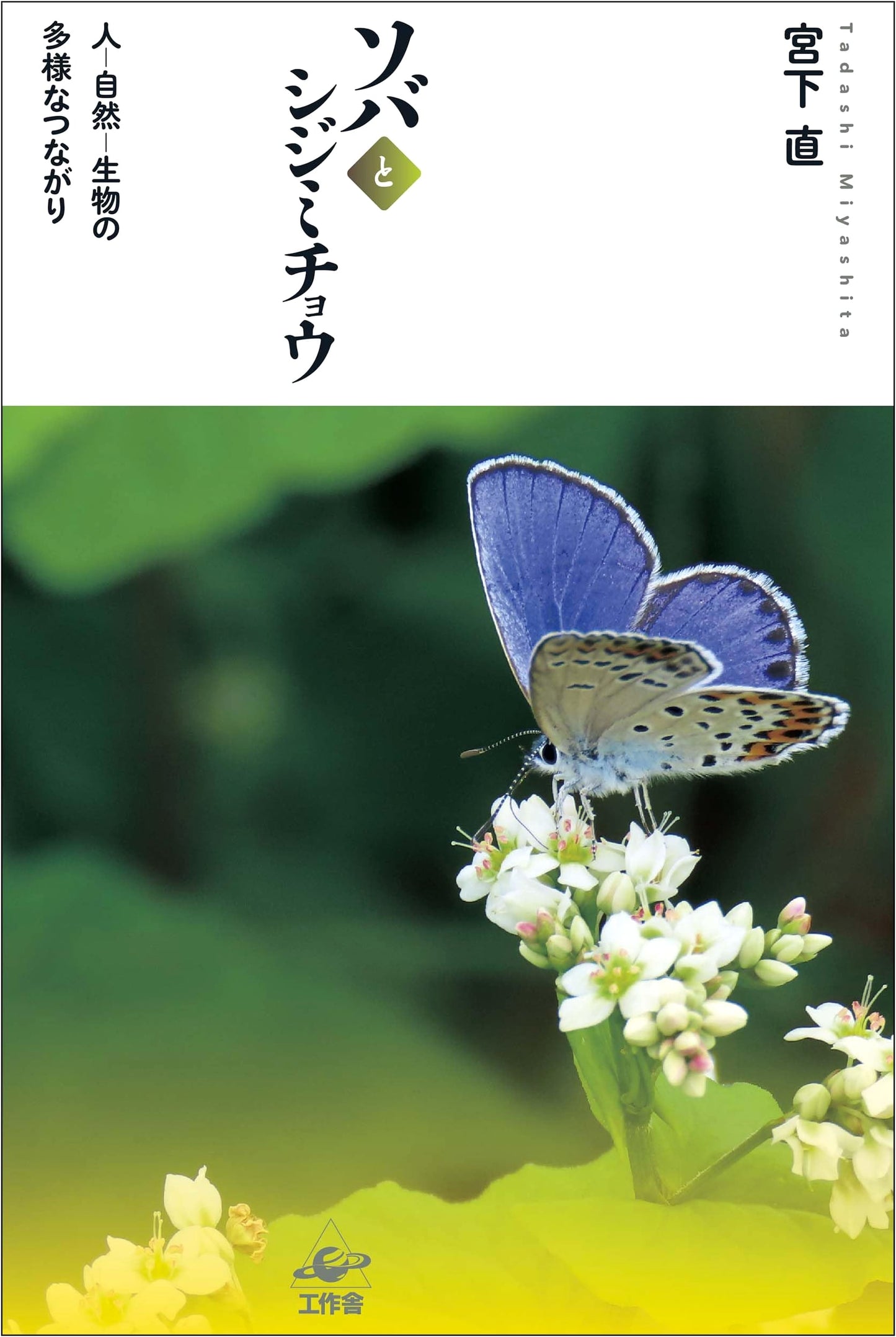 Buckwheat and Lycaenidae: Diverse Connections Among People, Nature, and Living Things