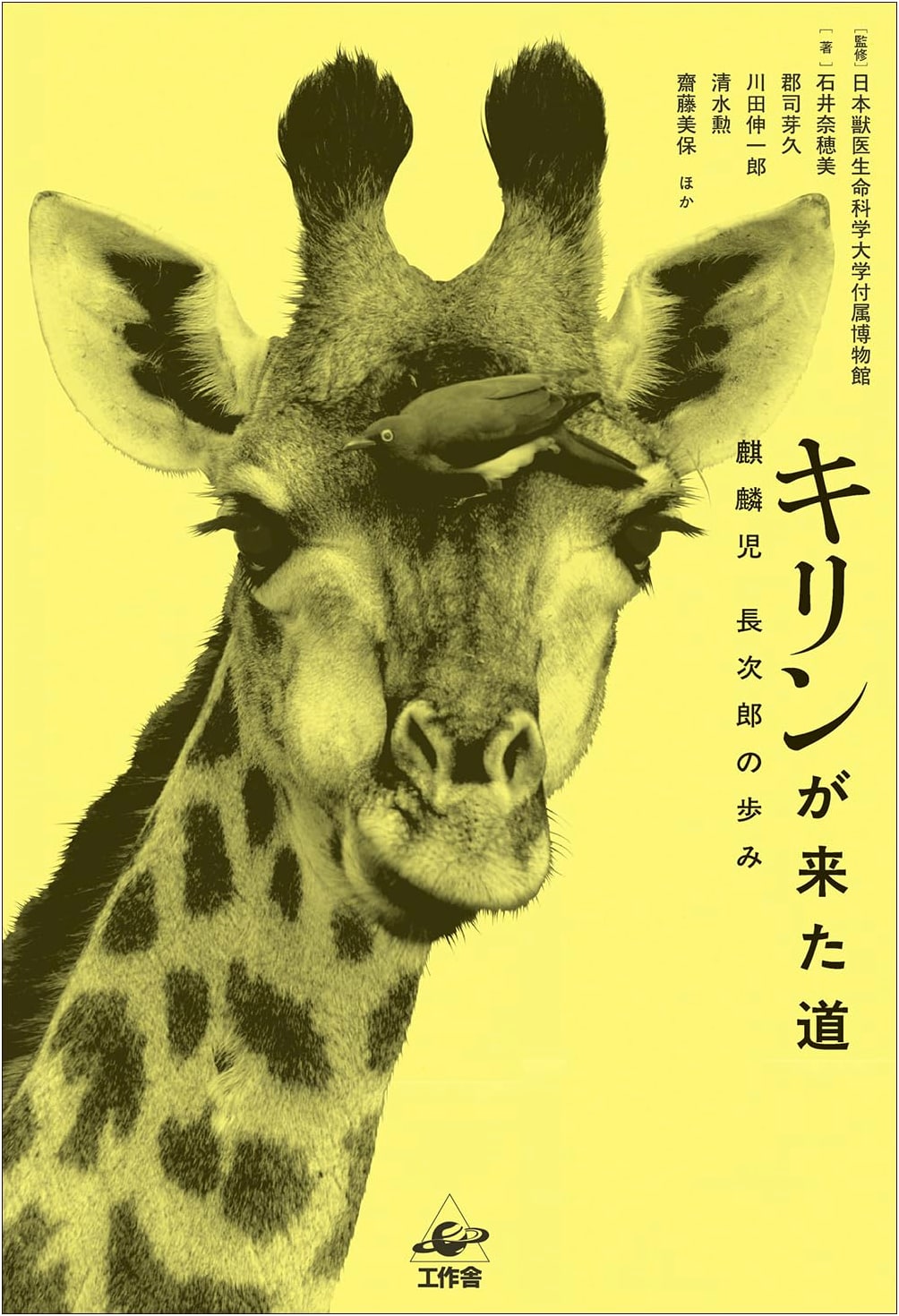 Kirin's Path: The Journey of Chojiro the Prodigy