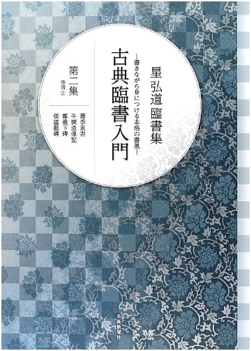 Calligraphy Practice: Cursive Script, Vol. 2 by Kodo Hoshi