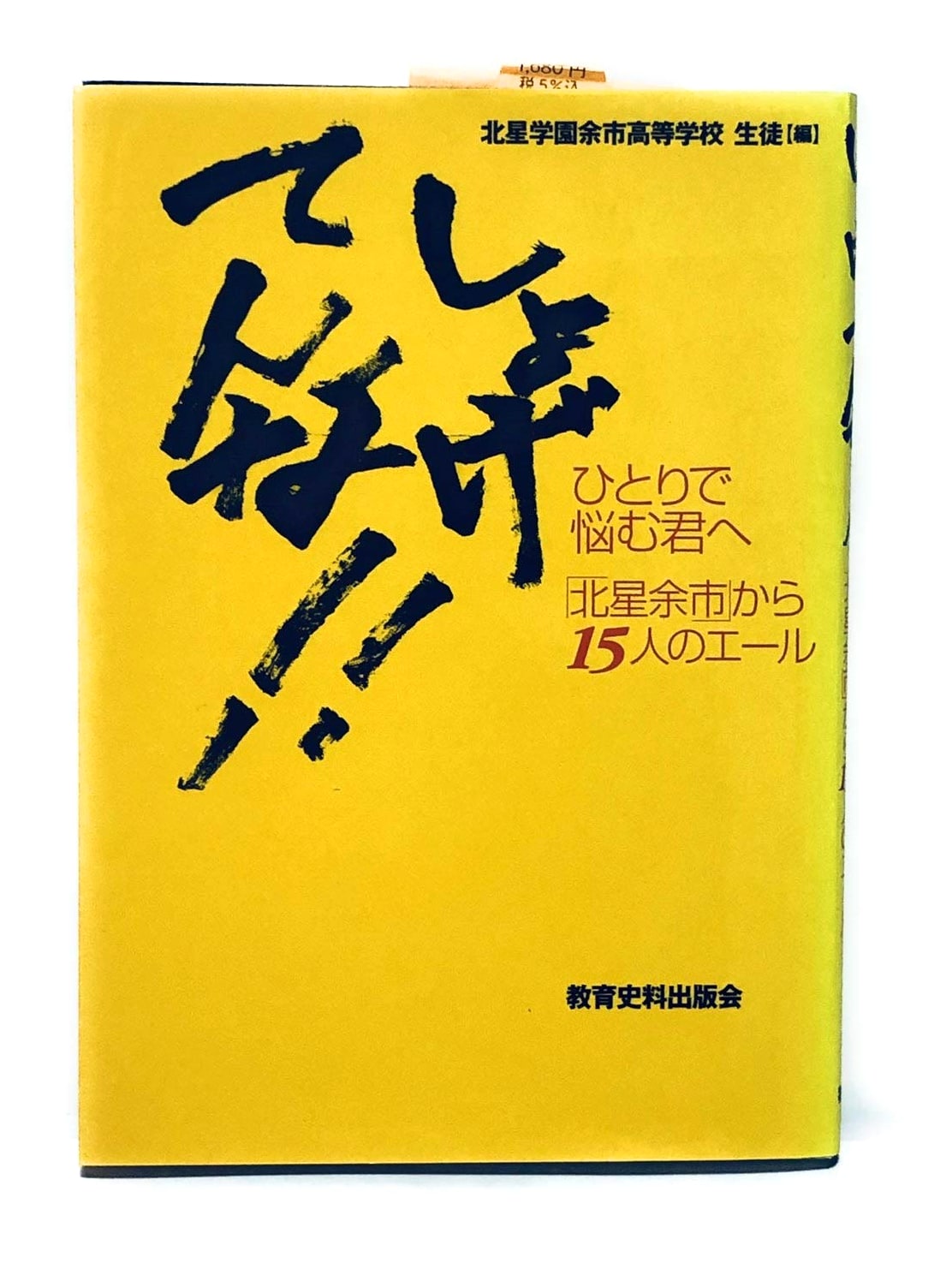 Feeling Down? 15 Cheers from Hokusei Yoichi for Those Who Worry Alone