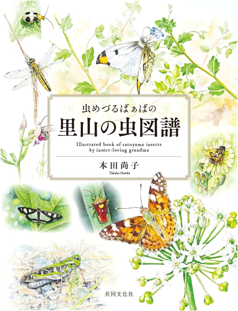 The Insect-Loving Grandma's Illustrated Guide to Satoyama Insects