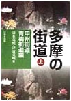 Tama Region Highways (Vol. 1): Koshu and Ome Highways by Shimizu & Tsunami