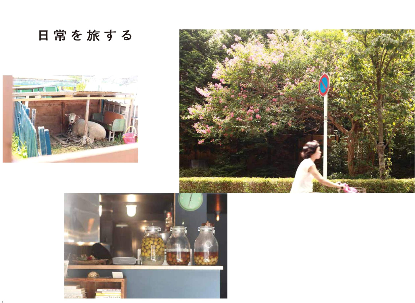 Wandering Through Everyday Life: A Guide to the Chuo Line (Mitaka to Tachikawa) by Yuri Hagiwara