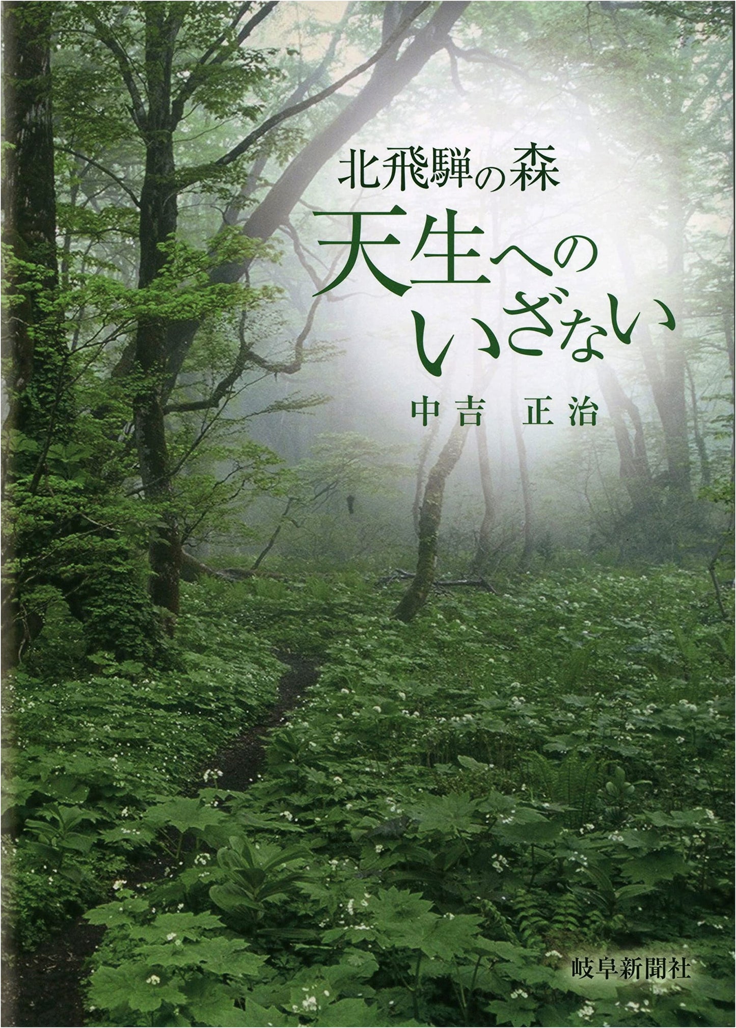Forests of Northern Hida: An Invitation to Amafuji