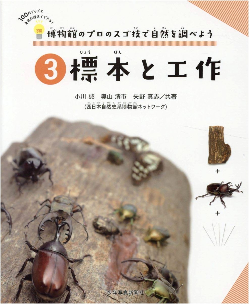 Uncover Nature's Secrets: Museum Pro Techniques for Specimens & Crafts, Vol. 3