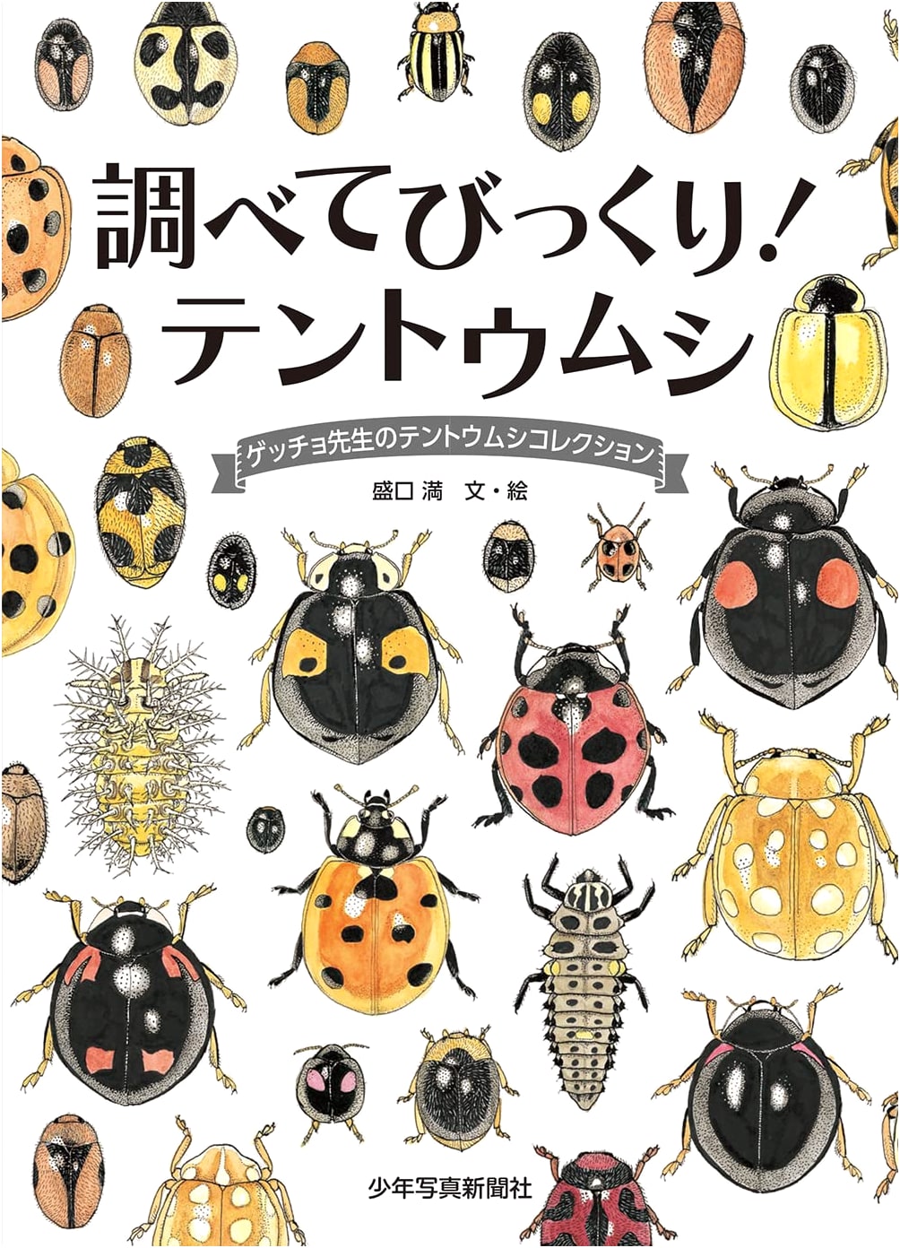 Surprise! Ladybugs: Geccho-sensei's Ladybug Collection (Geccho-sensei's Natural History Collection)