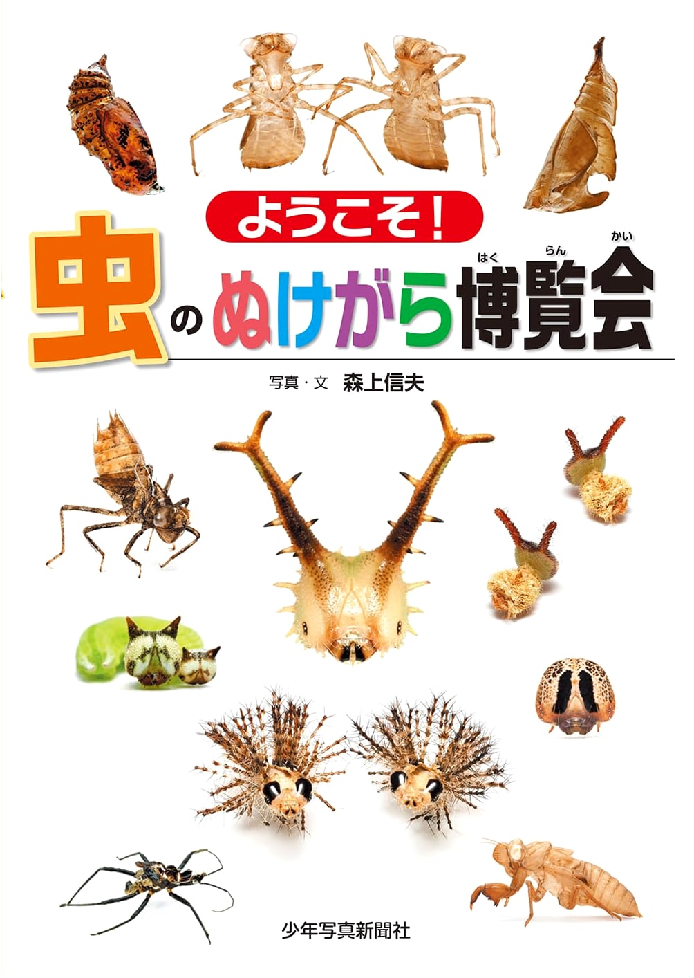 Welcome! Insect Exoskeleton Exhibition (Youth Photo Picture Book)
