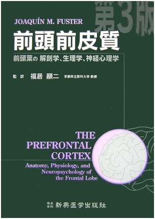 Prefrontal Cortex