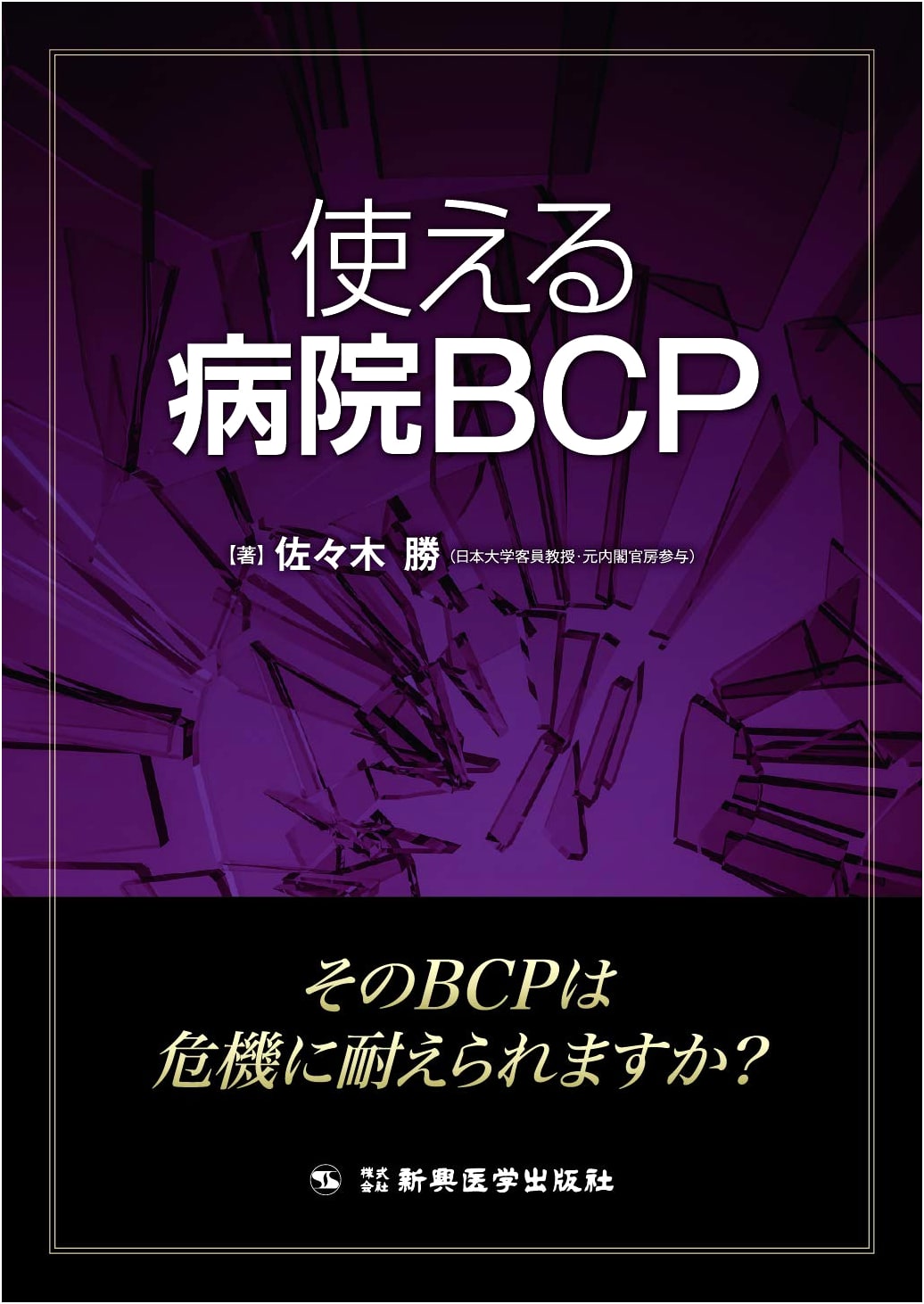Practical Hospital BCP: Business Continuity Planning by Masaru Sasaki