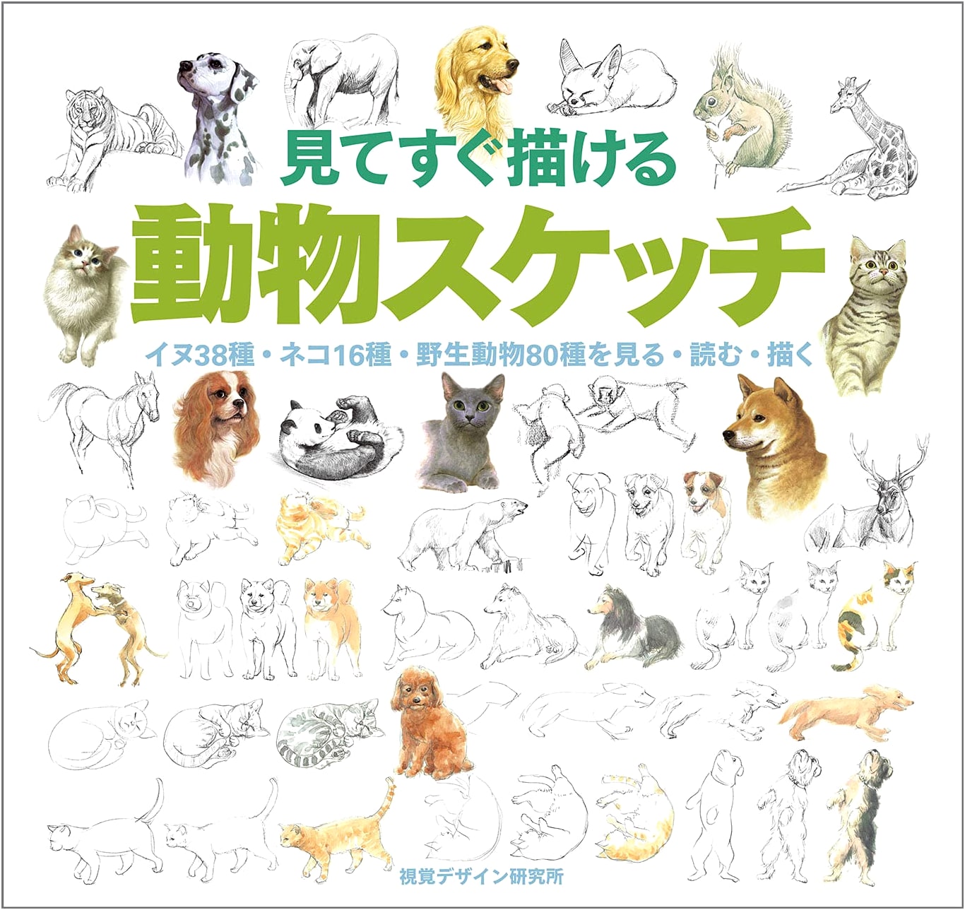 Learn to Sketch Animals: Dogs (38), Cats (16), and Wild Animals (80)