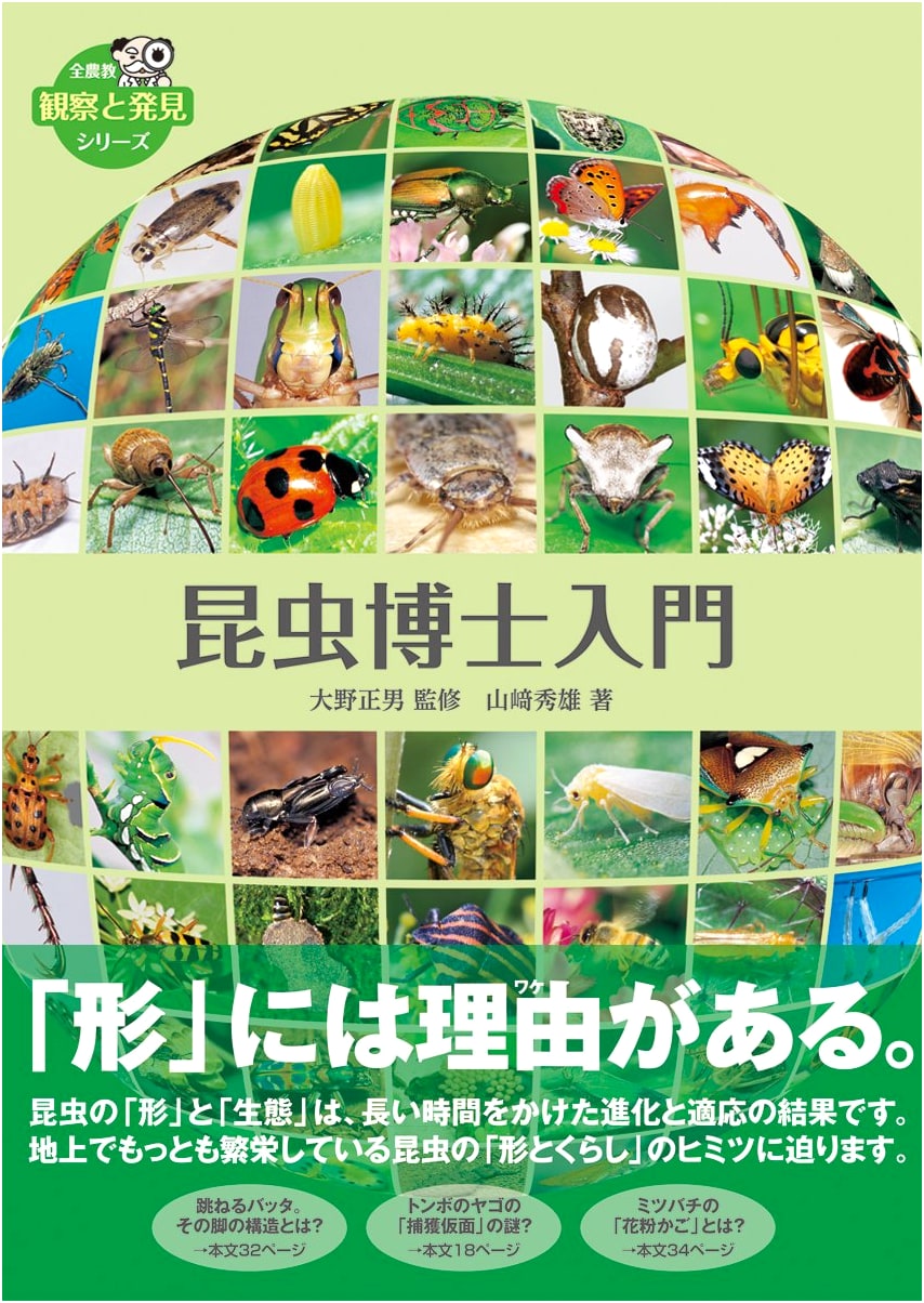 Introduction to Entomology: Observation and Discovery Series
