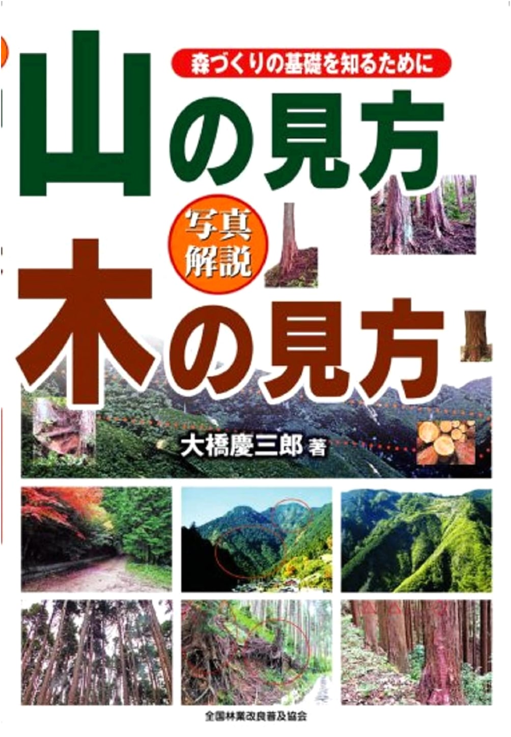 Photo-Illustrated Guide to Mountains & Trees: Fundamentals of Forest Creation