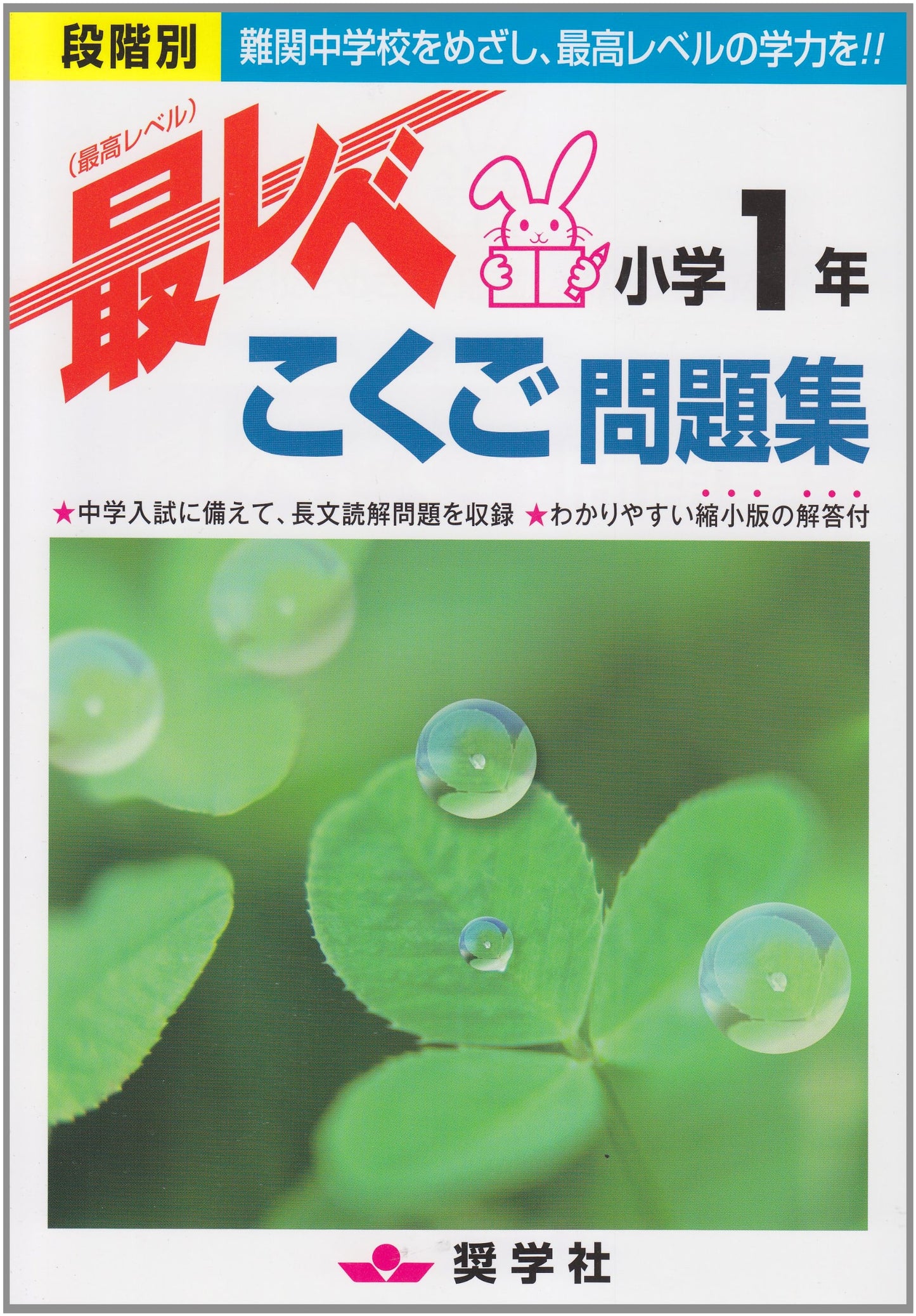 Top Level Japanese Language Workbook: Elementary 1st Grade, Step-by-Step