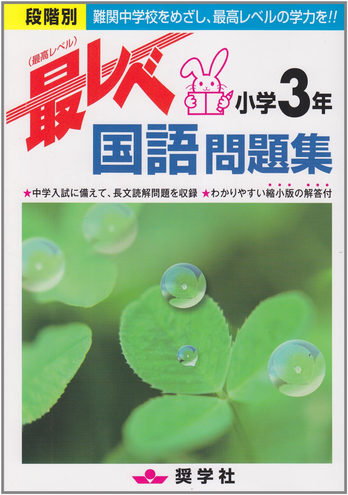 Top Level Japanese Language Workbook for Elementary School 3rd Grade: Step-by-Step