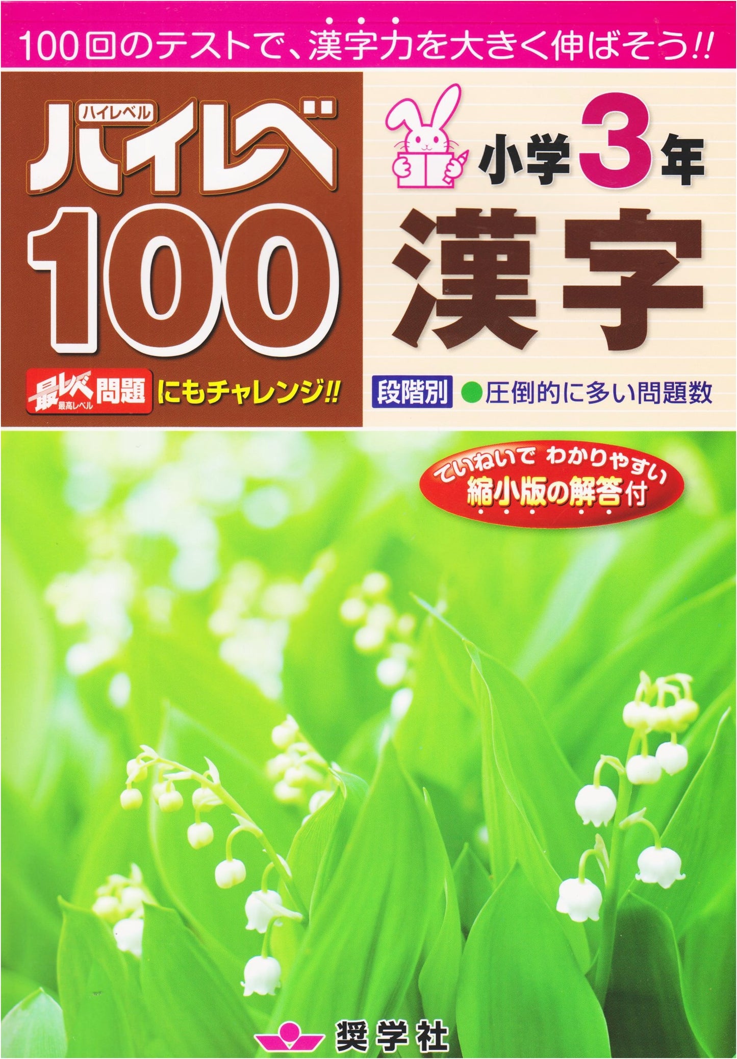 High Level 100: Grade 3 Kanji for Elementary School
