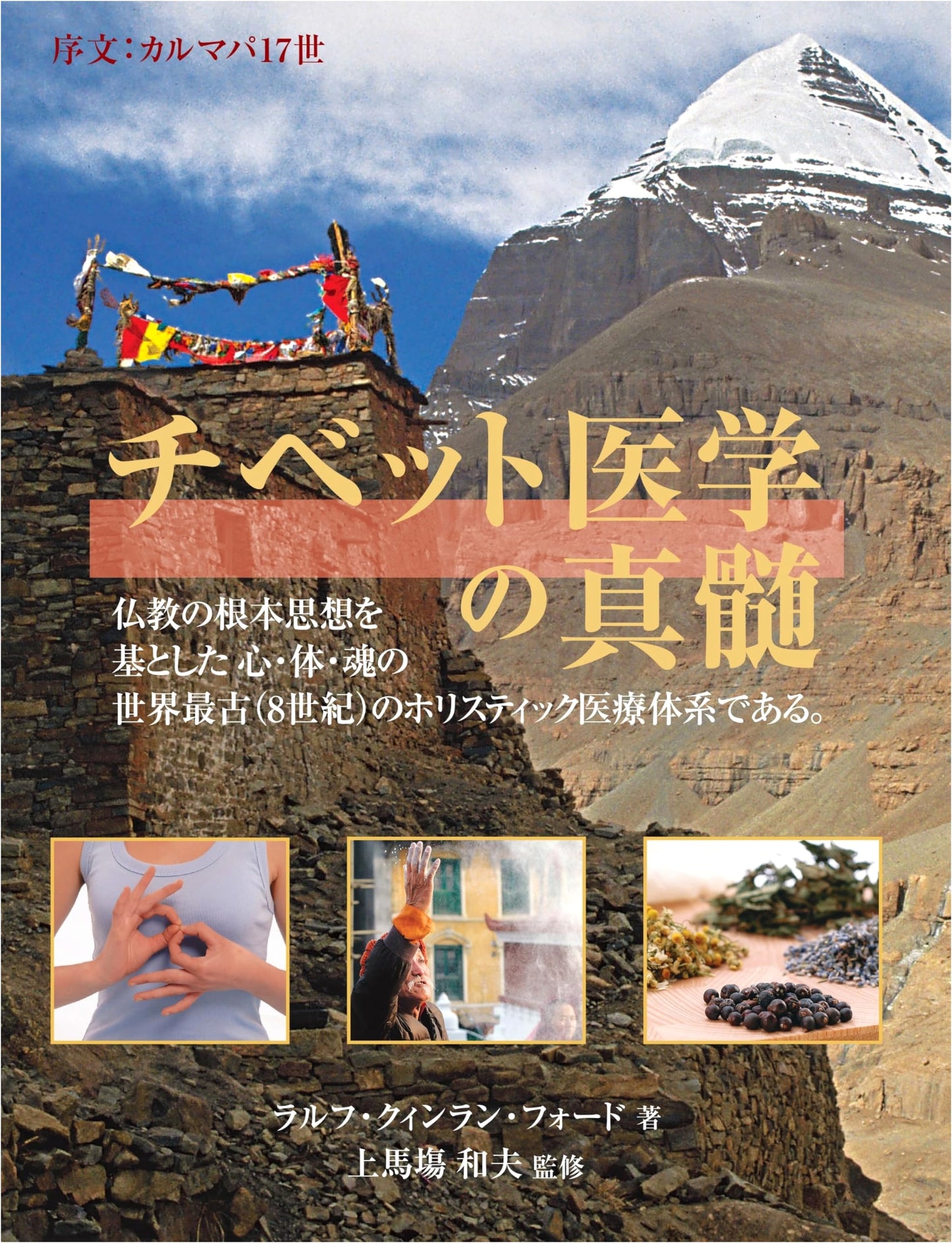 The Essence of Tibetan Medicine