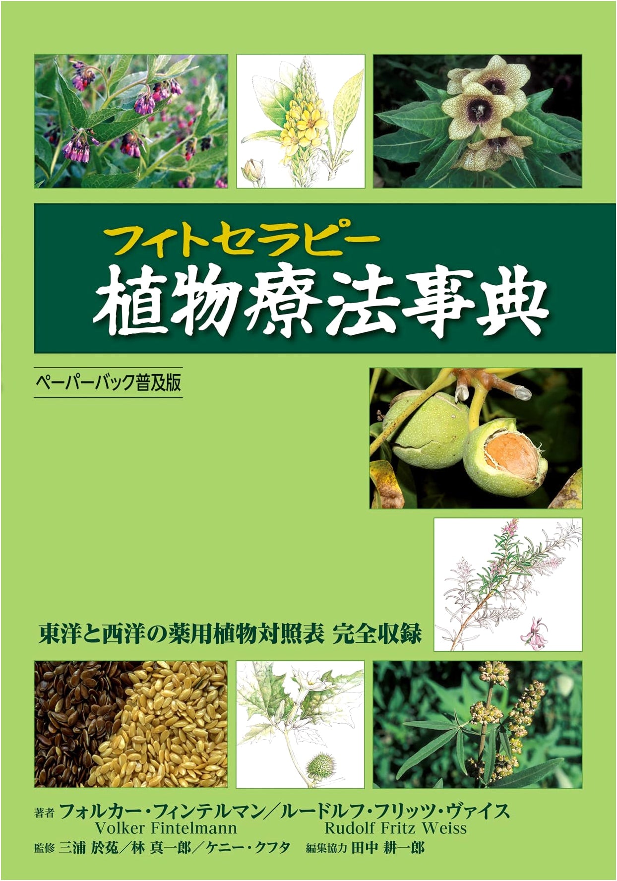 Phytotherapy Encyclopedia: Paperback Popular Edition